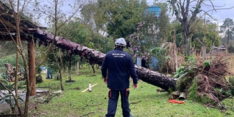 Imagem de capa da notícia