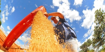 Imagem de capa da notícia