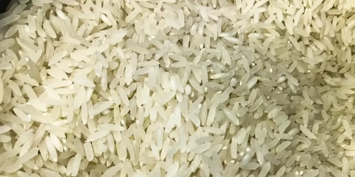 Foto de capa da notícia