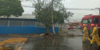 Imagem de capa da notícia