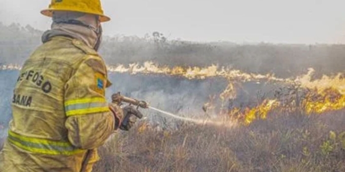 Foto de capa da notícia