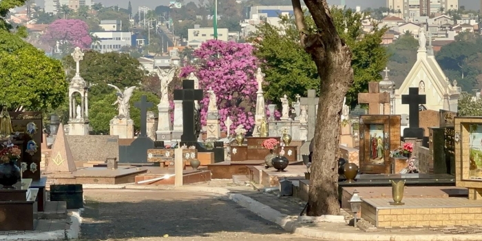 Foto de capa da notícia