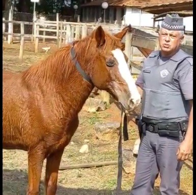 Imagem de capa da notícia