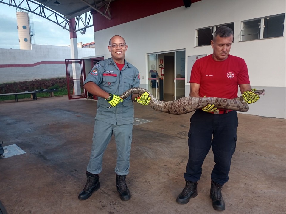 Foto de capa da notícia