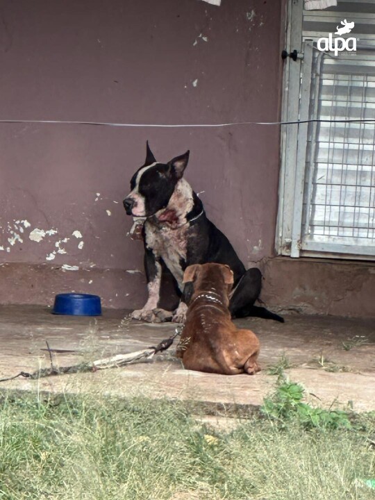 Foto de capa da notícia