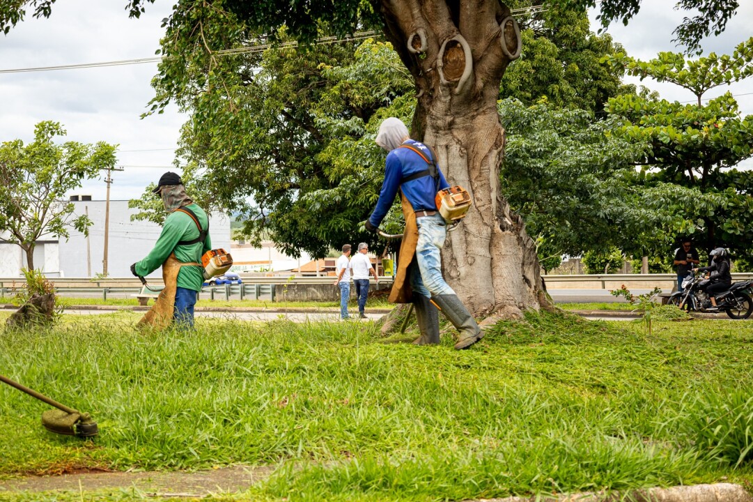 Foto de capa da notícia