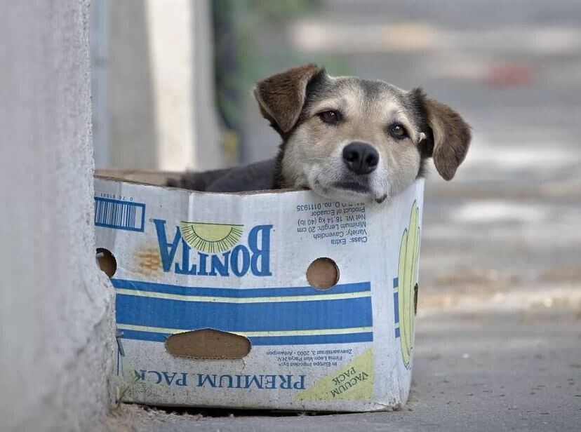 Foto de capa da notícia