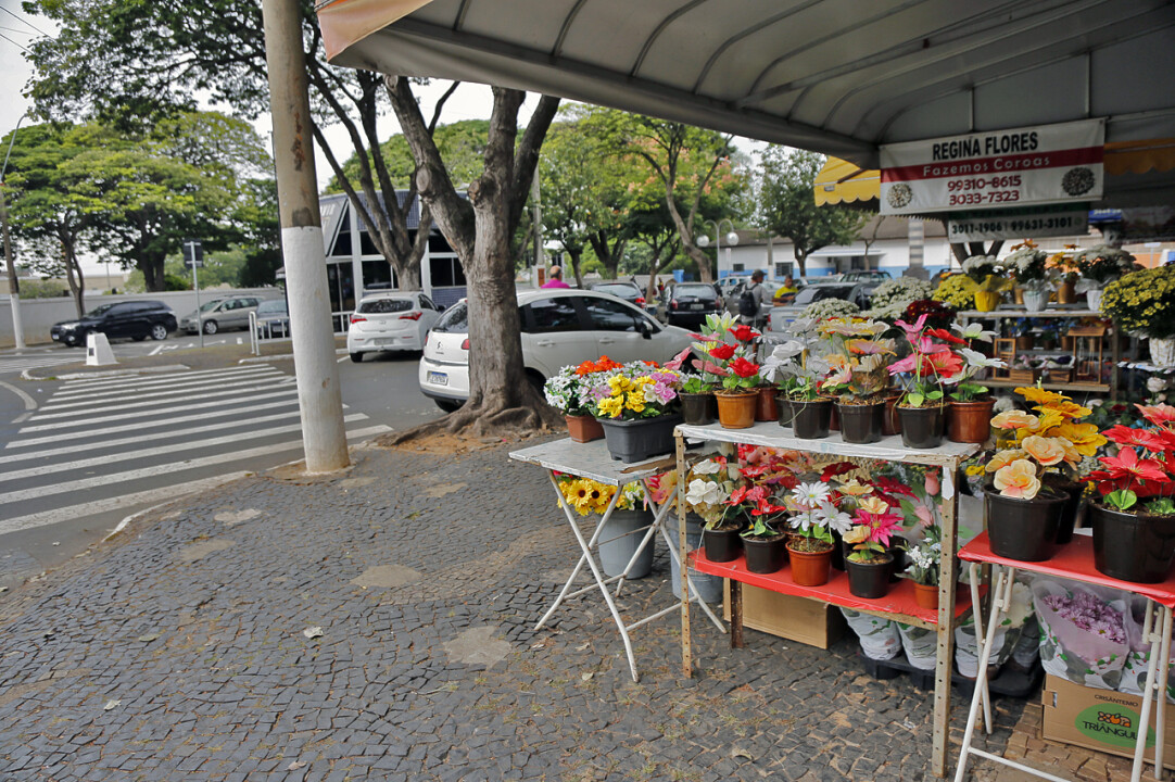 Foto de capa da notícia