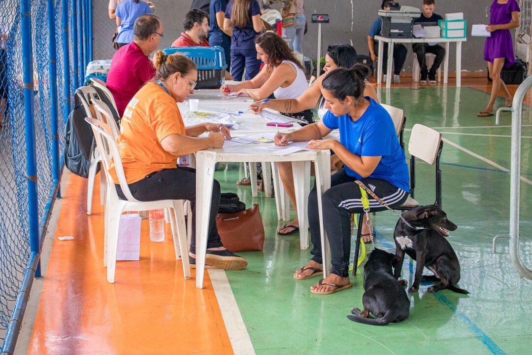 Foto de capa da notícia