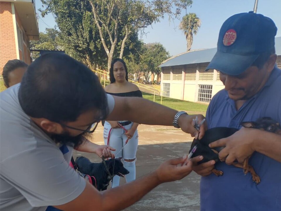 Foto de capa da notícia