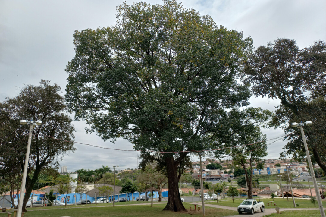 Foto de capa da notícia