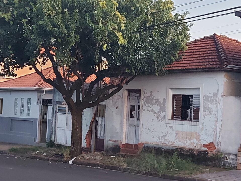 Foto de capa da notícia