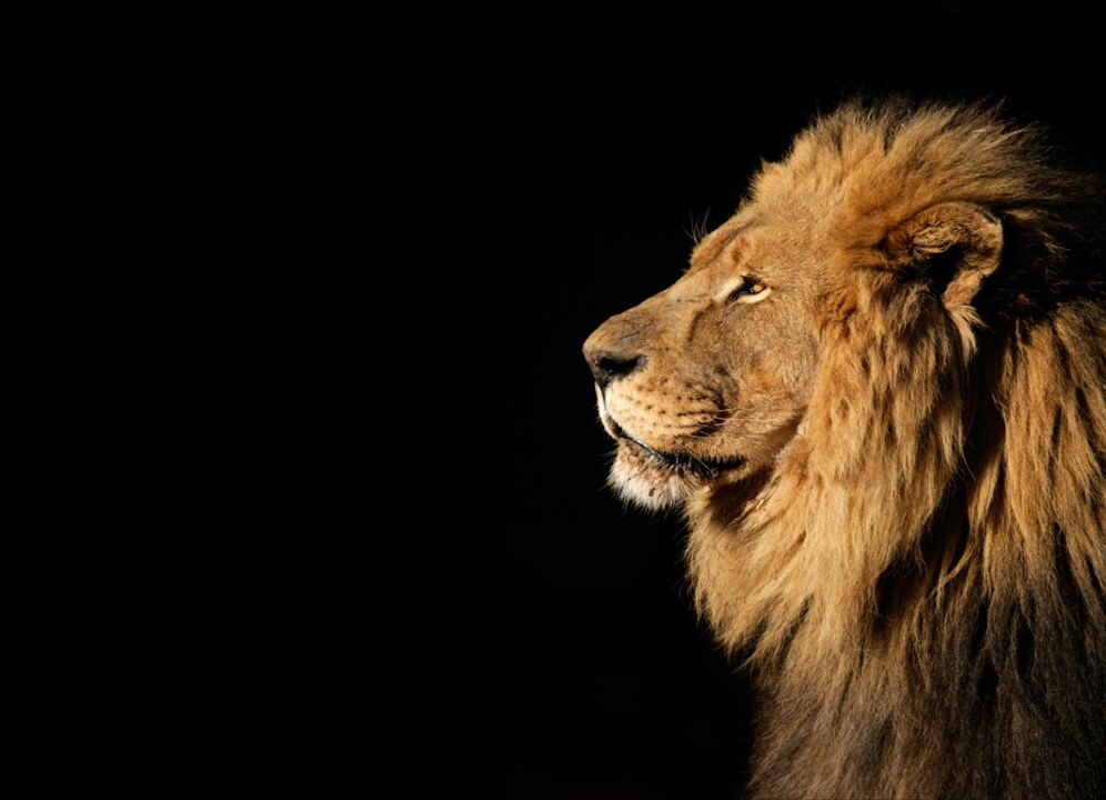 Foto de capa da notícia