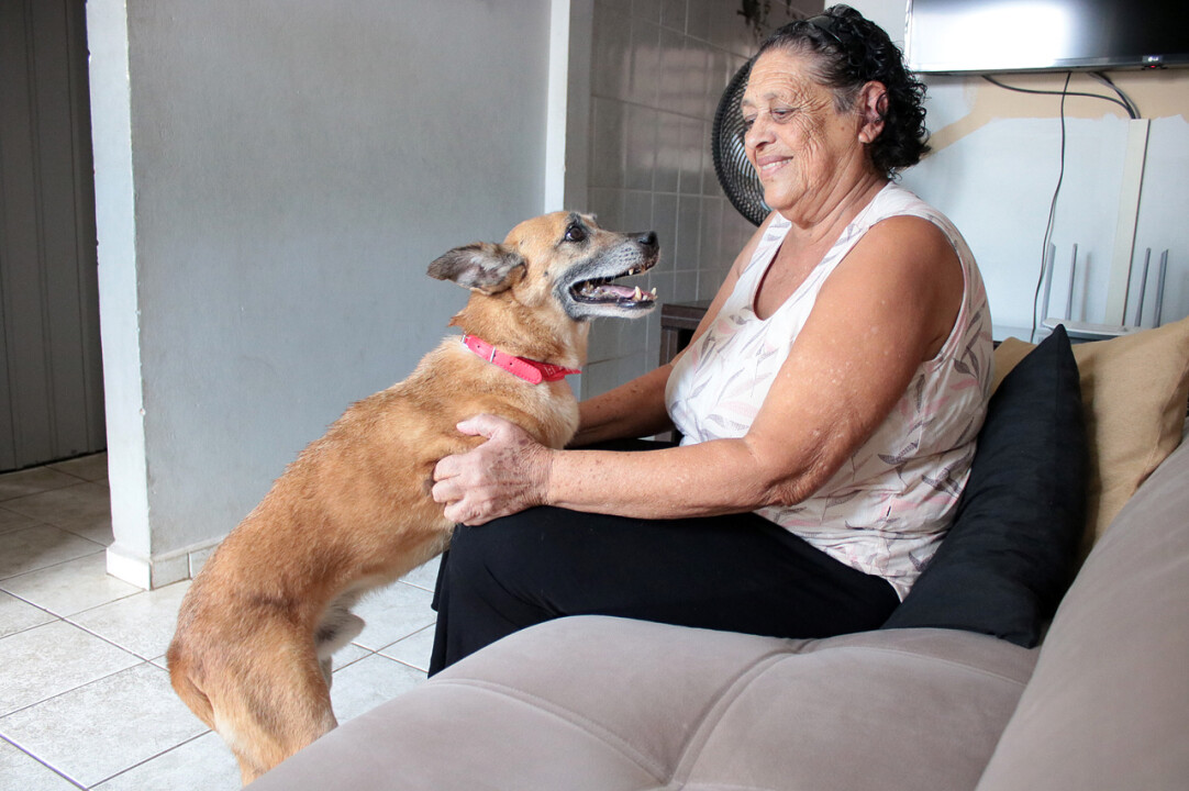 Foto de capa da notícia