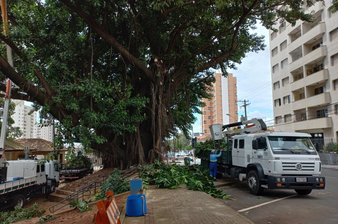 Foto de capa da notícia