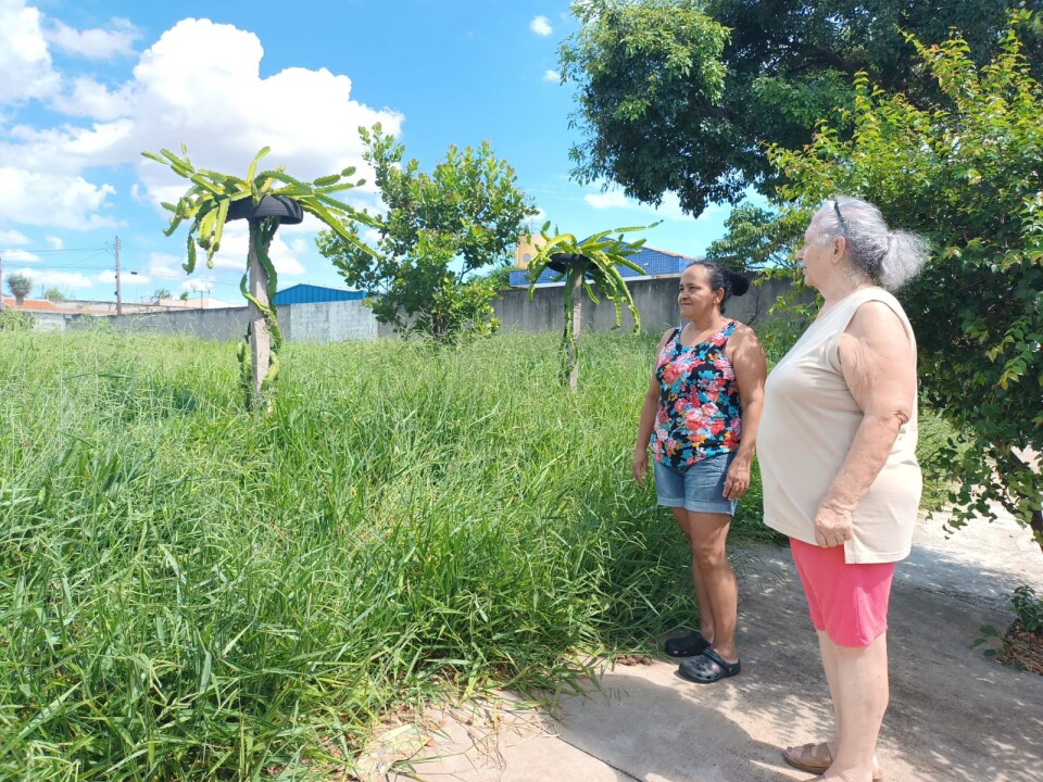 Foto de capa da notícia