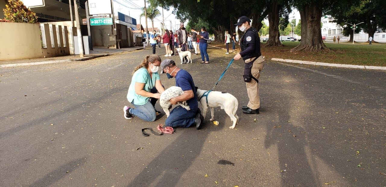 Foto de capa da notícia