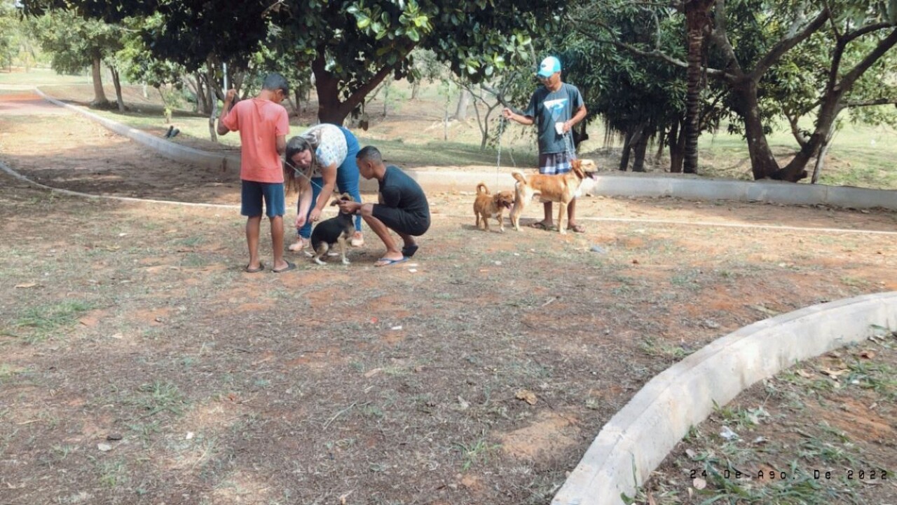 Imagem de capa da notícia