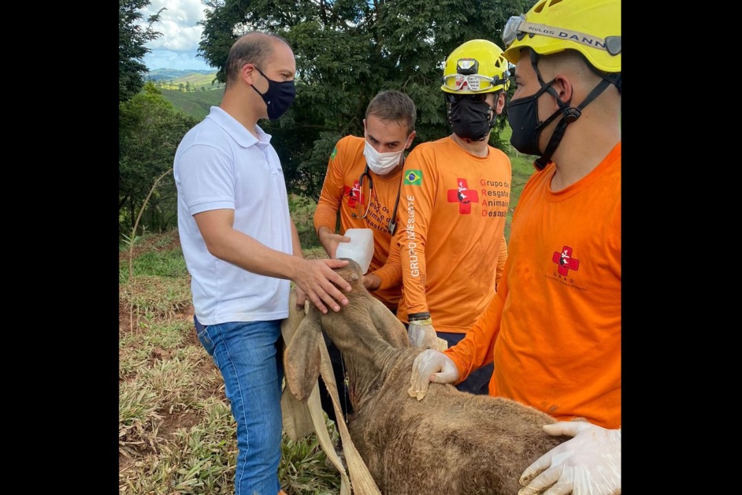 Imagem de capa da notícia