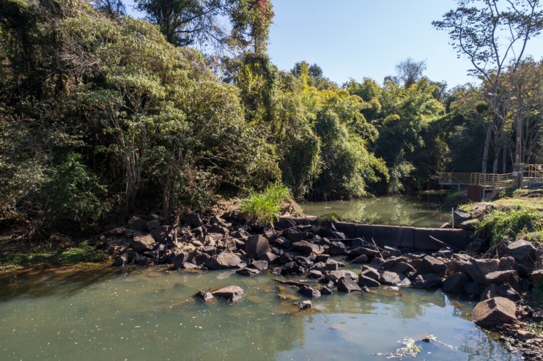 Foto de capa da notícia