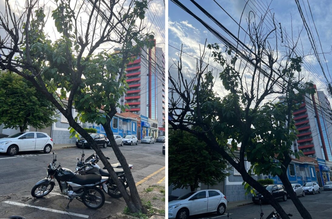 Foto de capa da notícia