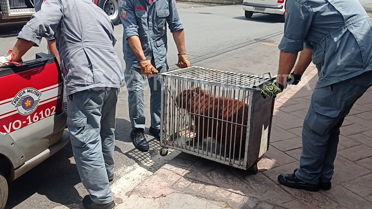 Imagem de capa da notícia