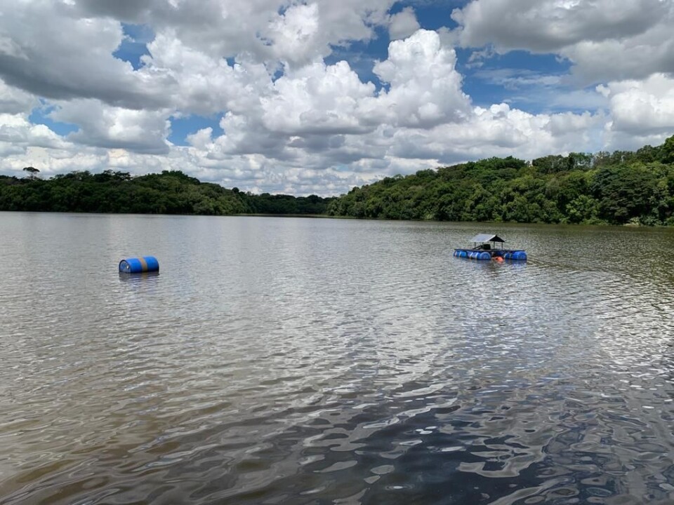 Foto de capa da notícia