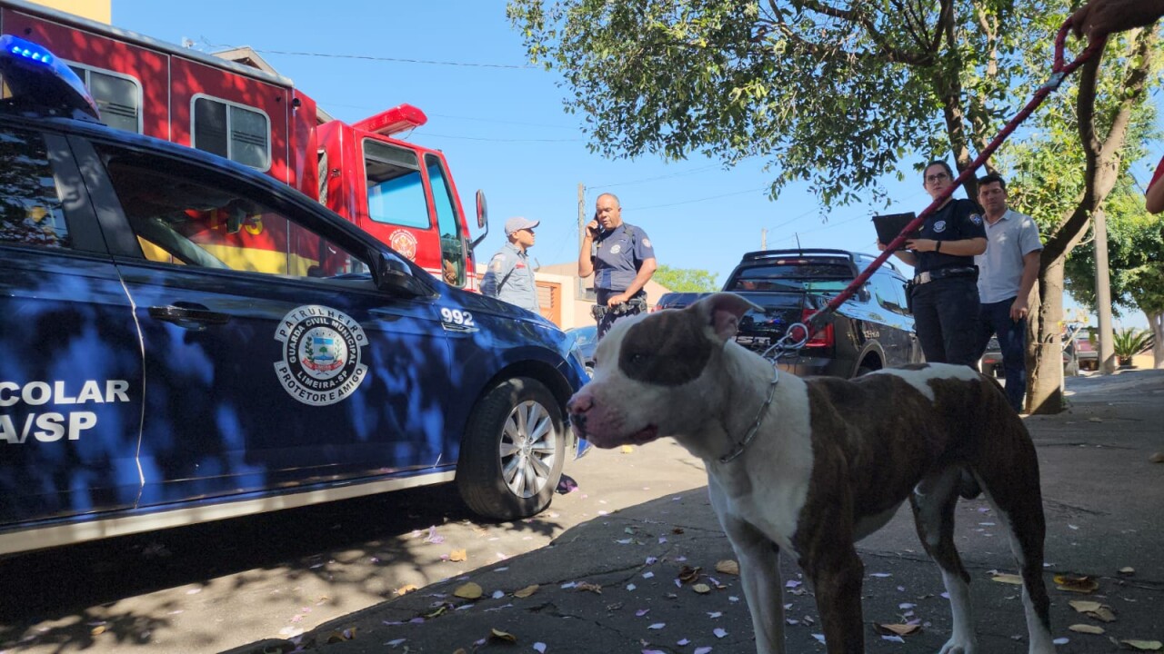 Foto de capa da notícia