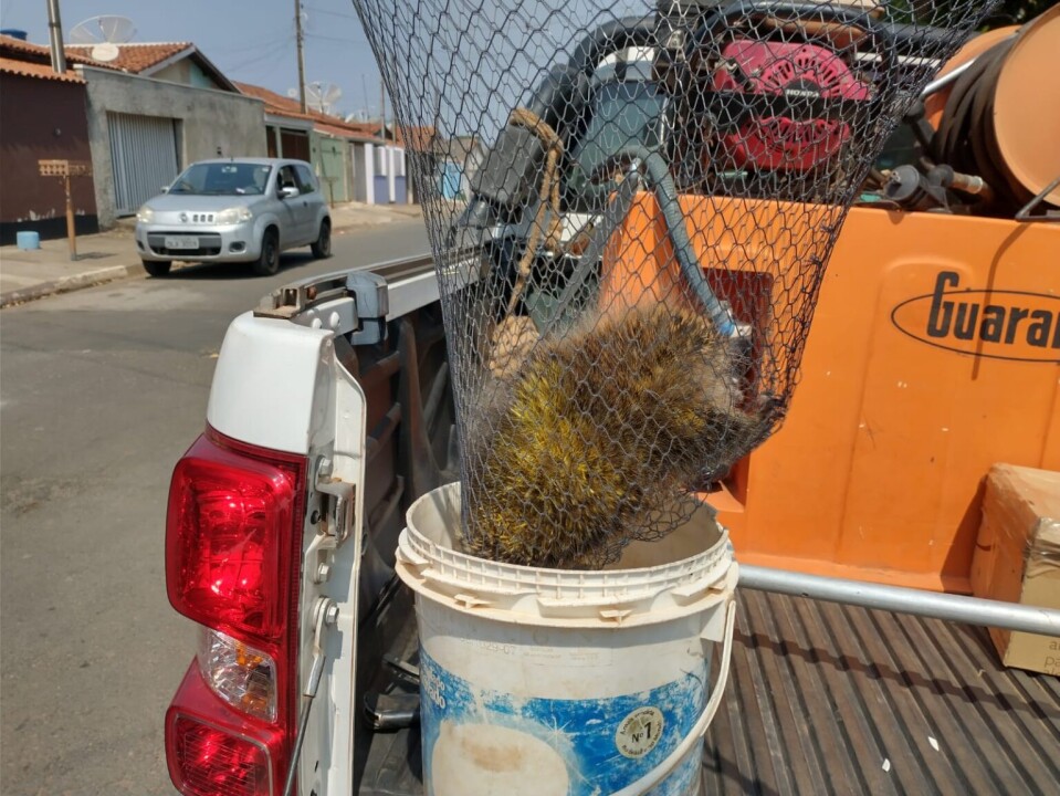 Foto de capa da notícia