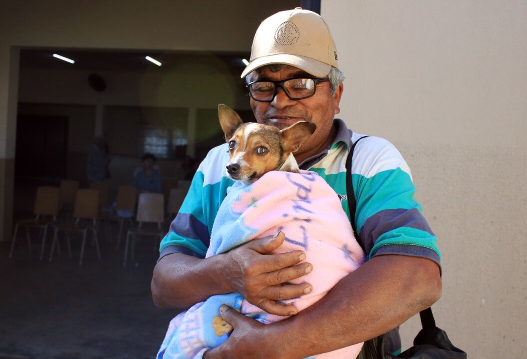 Foto de capa da notícia