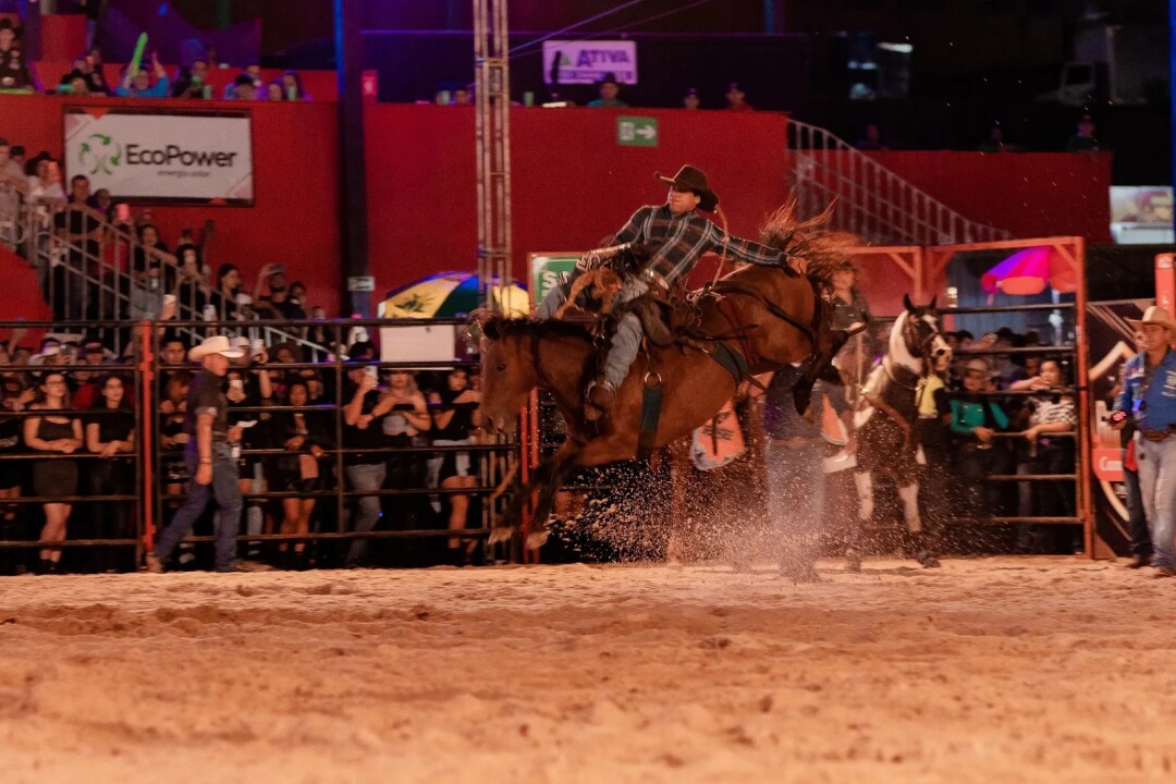 Foto de capa da notícia