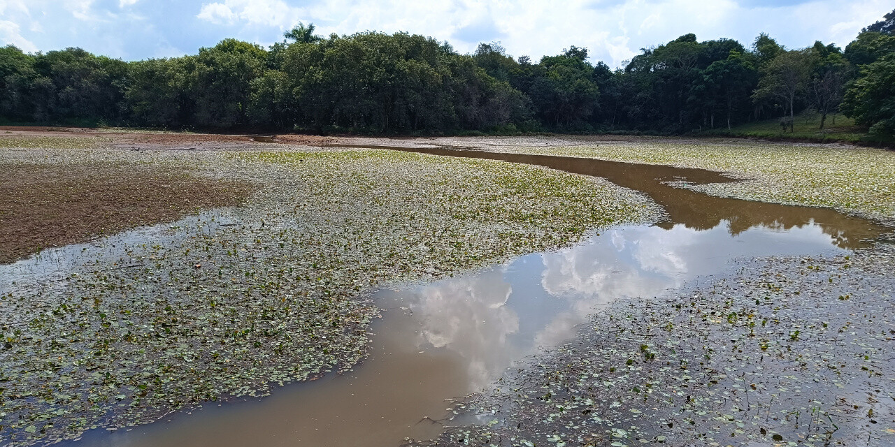 Foto de capa da notícia