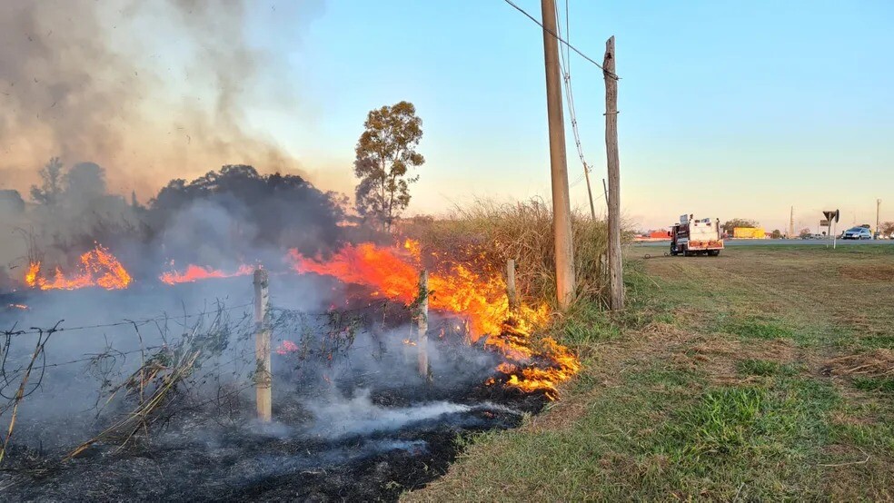 Foto de capa da notícia